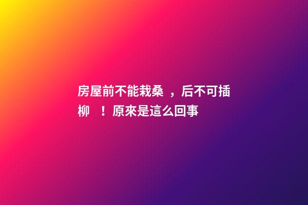 房屋前不能栽桑，后不可插柳！原來是這么回事